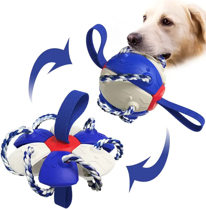 Interactive Inflatable Dog Soccer Ball Training Toy