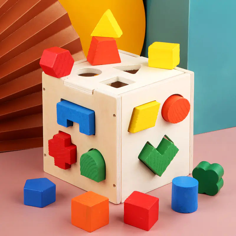 Wooden Geometric Shape Matching Blocks for Kids