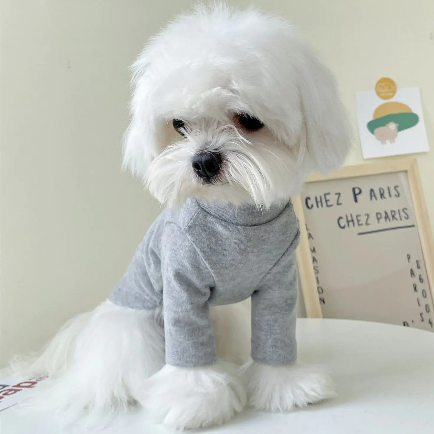 High-neck Slim Fit Shirt for Pets