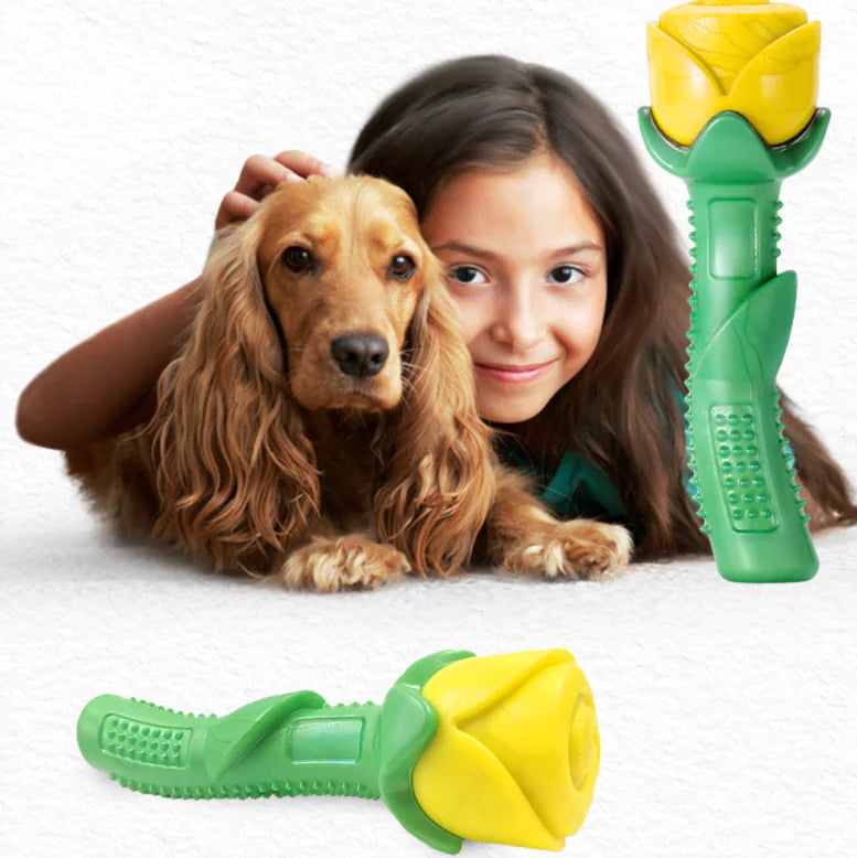 Dog Teether Toy for Pets