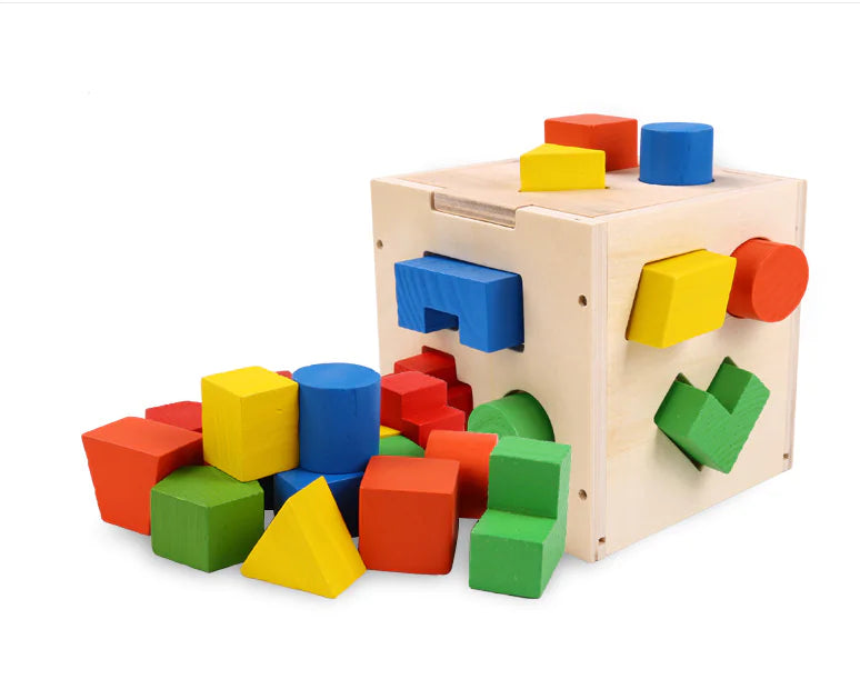 Wooden Geometric Shape Matching Blocks for Kids