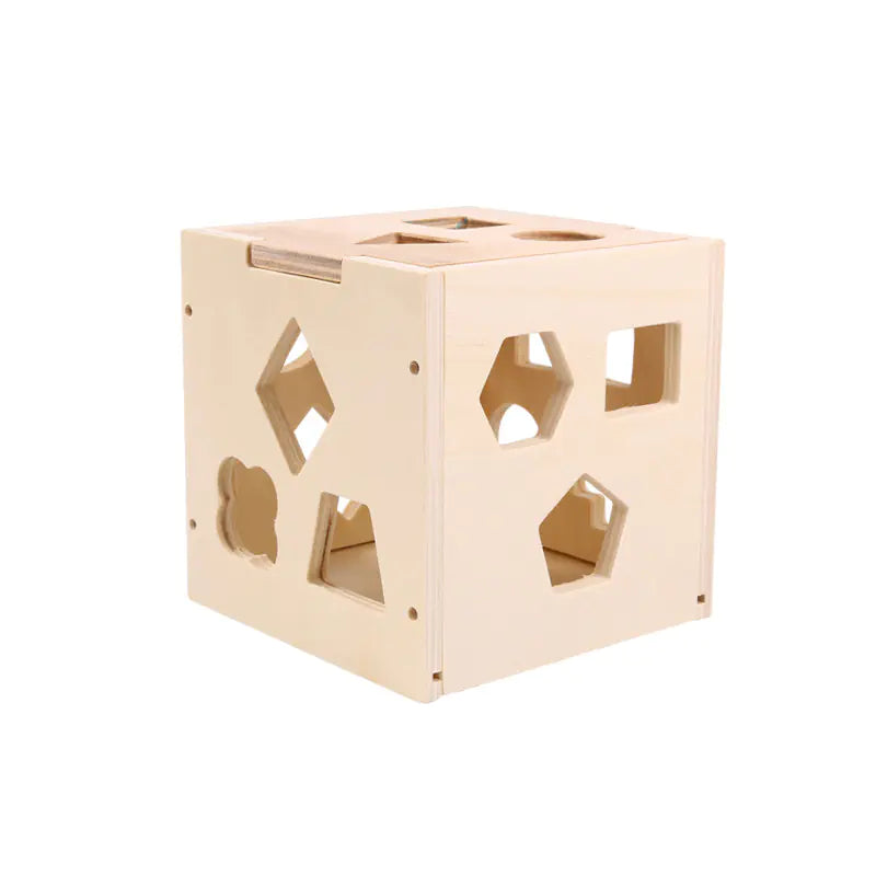 Wooden Geometric Shape Matching Blocks for Kids
