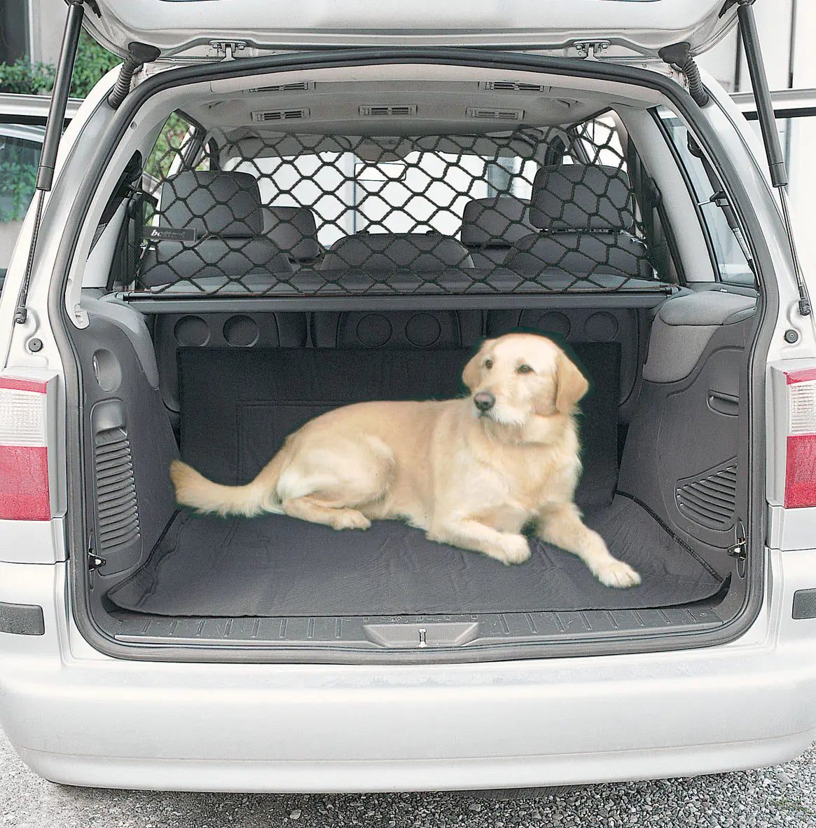 Pet Safety Barrier for Car